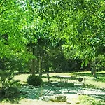 Urlaub Im Sueden Zwischen Und Bergen By Interhome *