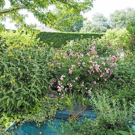 Urlaub Im Sueden Zwischen Und Bergen By Interhome 펜션