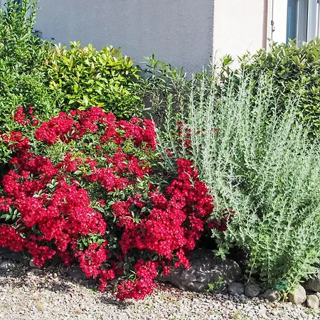 펜션 Urlaub Im Sueden Zwischen Und Bergen By Interhome